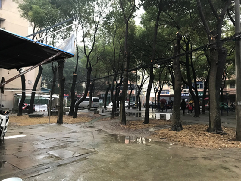 花一社區(qū)黨建廣場(chǎng)現(xiàn)狀照片